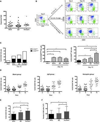 Herceptin Enhances the Antitumor Effect of Natural Killer Cells on Breast Cancer Cells Expressing Human Epidermal Growth Factor Receptor-2